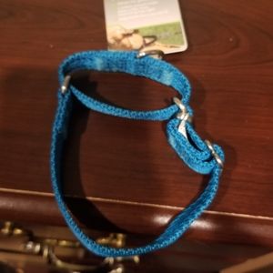 Good2go Dog Collar 8 -12" XS